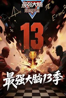 最强大脑13